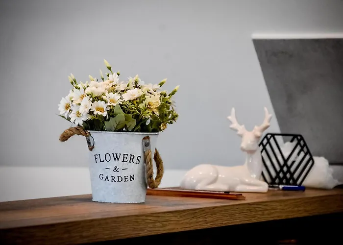 U Topora Dakar Z Jacuzzi